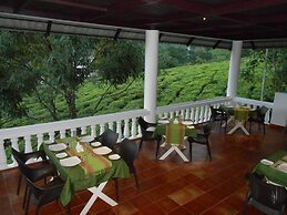 Tea Harvester Munnar