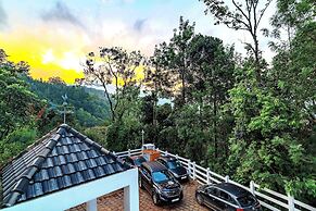 Tea Harvester Munnar