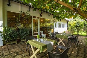 Tea Harvester Munnar