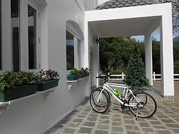 Tea Harvester Munnar