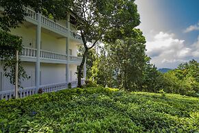Tea Harvester Munnar
