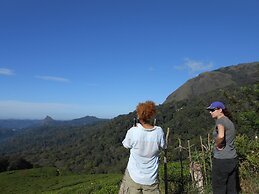 Tea Harvester Munnar