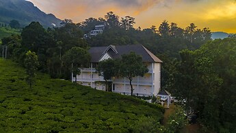 Tea Harvester Munnar