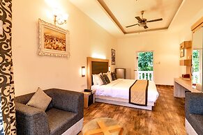 Tea Harvester Munnar