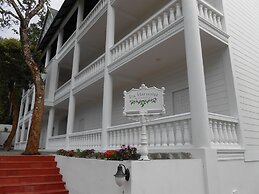 Tea Harvester Munnar