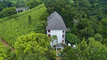 Tea Harvester Munnar