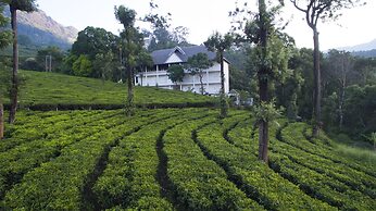 Tea Harvester Munnar