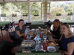 Tea Harvester Munnar