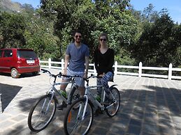 Tea Harvester Munnar