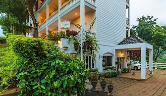 Tea Harvester Munnar