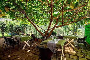 Tea Harvester Munnar