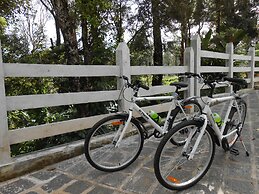Tea Harvester Munnar