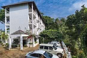 Tea Harvester Munnar