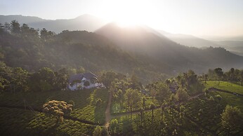 Tea Harvester Munnar