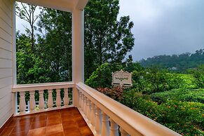 Tea Harvester Munnar