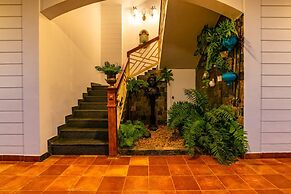 Tea Harvester Munnar