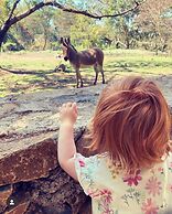 Mount Meru Game Lodge