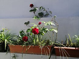 Hostal Restaurante Patio