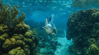Ranguana Caye Cabanas
