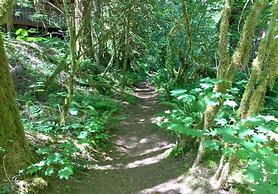 25sl - Hot Tub - Bbq - Pets Ok - Wifi - Sleeps 6 1 Bedroom Home by Red