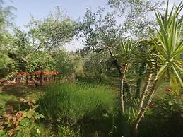 Agriturismo Crocino in Chianti