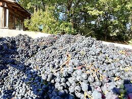 Agriturismo Crocino in Chianti