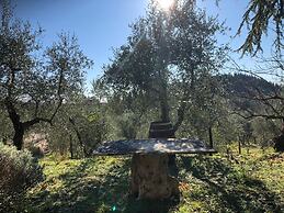 Agriturismo Crocino in Chianti
