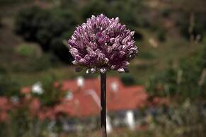 Quinta do Chocalhinho