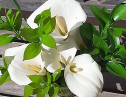 GUBAS DE HOEK meet eat sleep