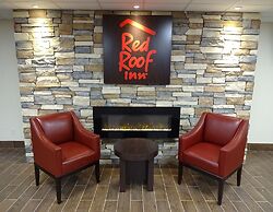 Red Roof Inn Indianapolis - Castleton