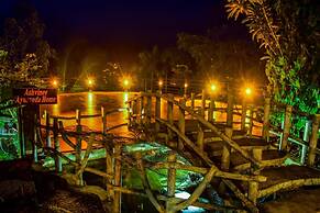 Rainforest Lodge