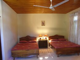 Rainforest Lodge