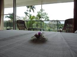 Rainforest Lodge
