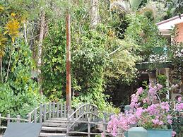 Rainforest Lodge