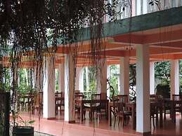 Rainforest Lodge