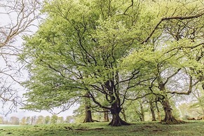 Cornhill Castle Hotel