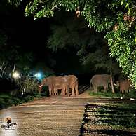 Victoria Falls Backpackers