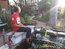 Victoria Falls Backpackers