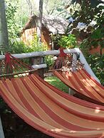 Victoria Falls Backpackers