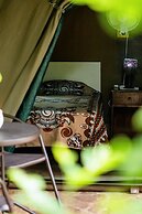 Victoria Falls Backpackers