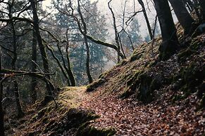 Acron Traben-Trarbach