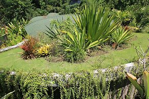 De Moksha Eco Friendly Boutique Resort