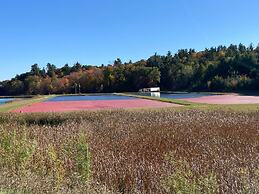 Three Bears Waterpark Resort & Convention Center, Ascend Collection Ne