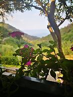 Agriturismo Costa di Campo