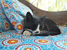 Fawlty Towers Guest House