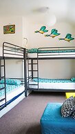 Igloo Hybrid - Hostel