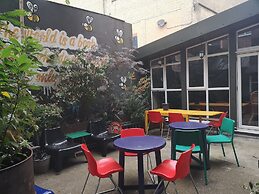 Igloo Hybrid - Hostel