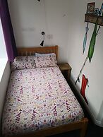 Igloo Hybrid - Hostel