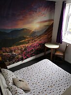 Igloo Hybrid - Hostel