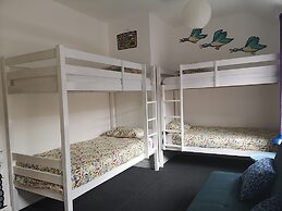 Igloo Hybrid - Hostel